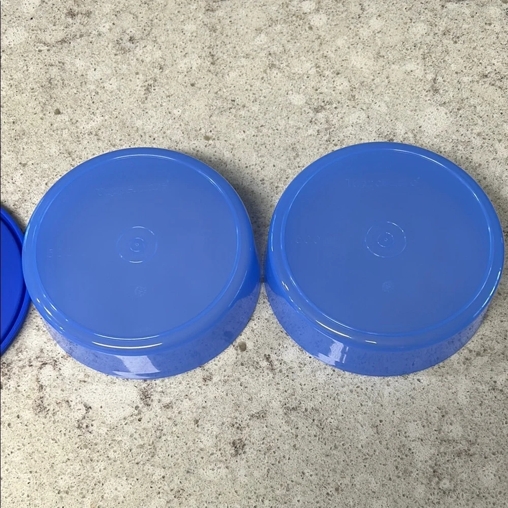 Tupperware pair vibrant